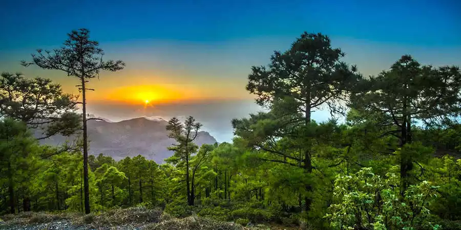 Paisajes Naturales de Canarias