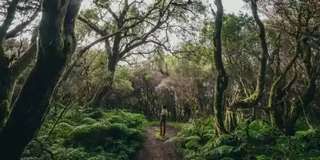 Actividades en la naturaleza en El Hierro