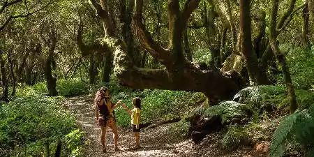 Viajar con niños a El Hierro