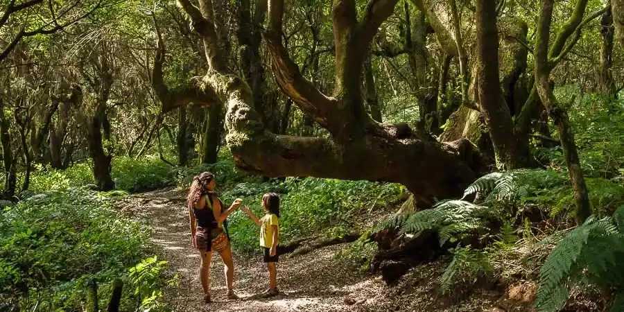 Viajar con niños a El Hierro
