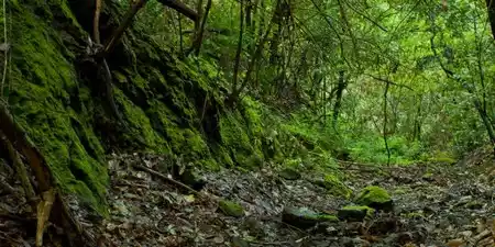 Reserva Natural Integral del Barranco Oscuro