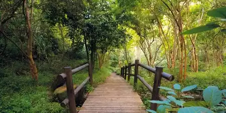 Parque Rural de Doramas