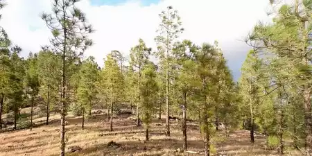 Reserva Natural Integral de Inagua