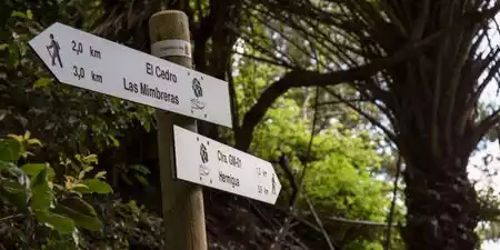 Reserva tus actividades en La Gomera