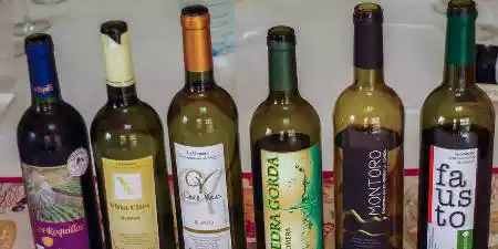Vino de La Gomera
