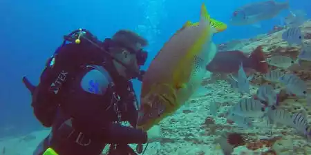 Buceo en La Graciosa