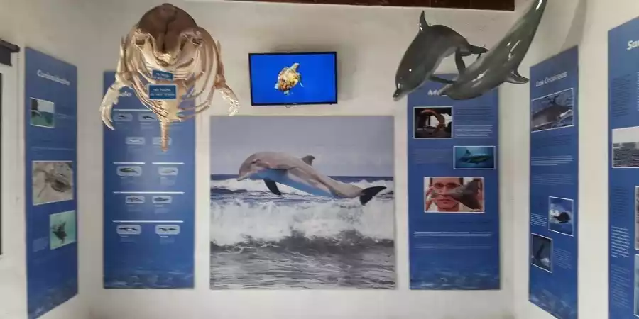 Museo Chinijo