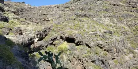Barranco de Los Gomeros