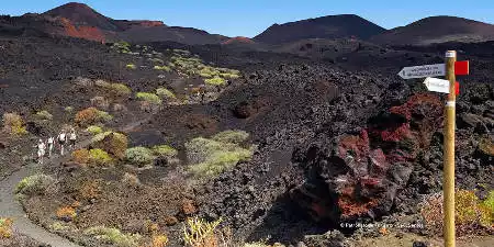 Cómo moverse por La Palma