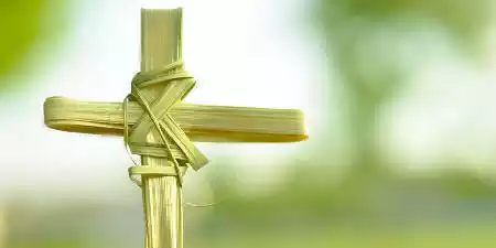 Las Cruces