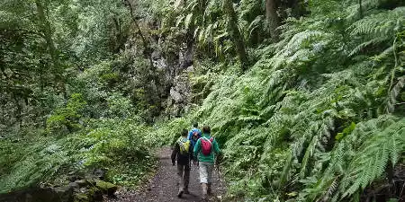 Parque Natural de Las Nieves