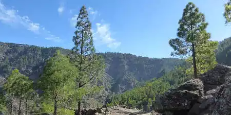 Actividades en la naturaleza en La Palma
