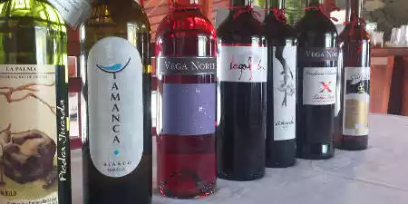 Vinos de La Palma