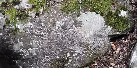 Zonas arqueológicas de La Palma