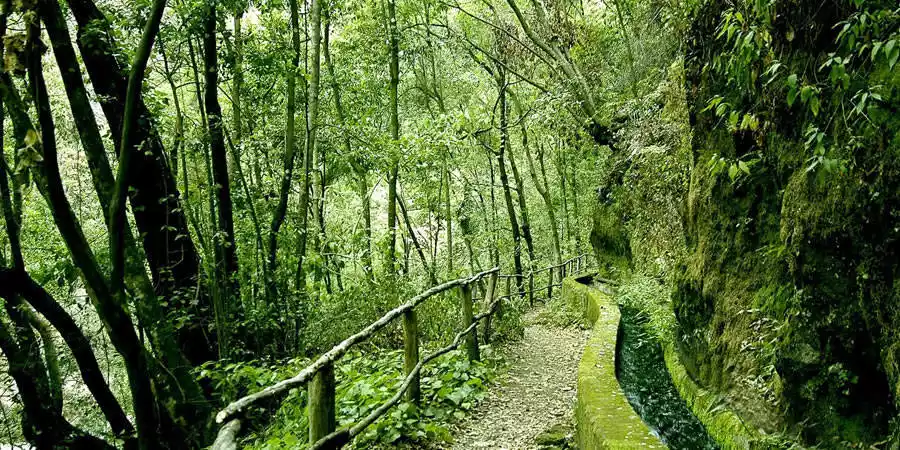 Qué ver en La Palma